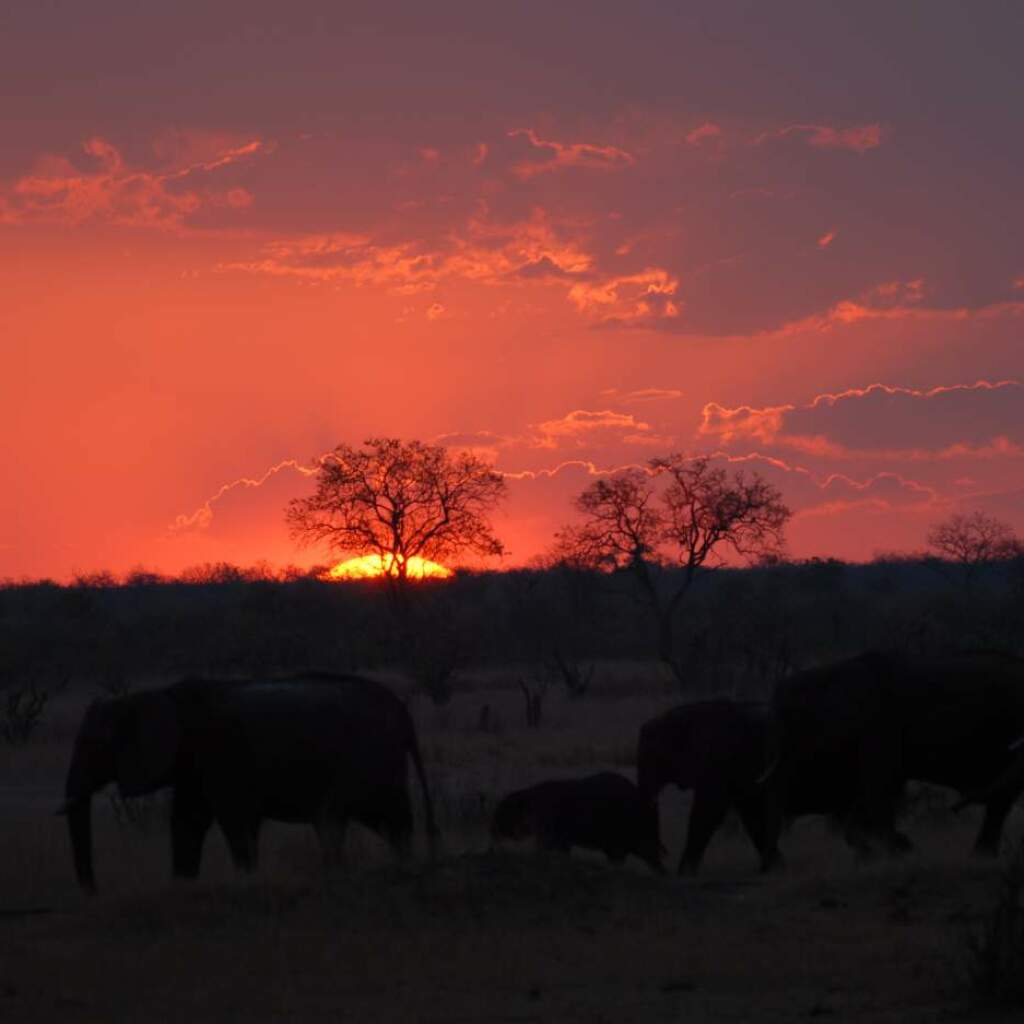 Erlebnis-Reisen Afrika